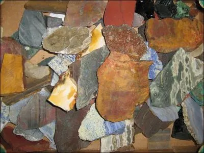 L'oeil de tigre est une variété de :