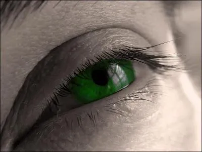 Quelle couleur d'iris est la plus répandue dans le monde homo sapiens ?