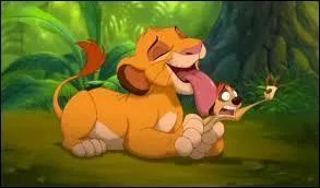 Que fait Simba une fois qu'il a été recueilli ?