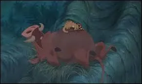 Quelle est la phrase fétiche de Pumba avant de s'endormir ?