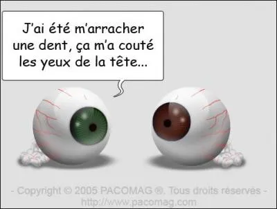 Si ça vous 'coûte les yeux de la tête' c'est que :