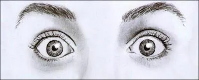 'Ça vous crève les yeux', c'est que c'est :