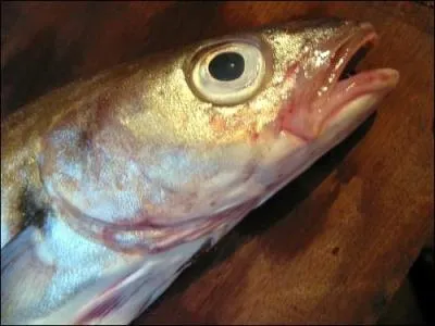 Vous avez 'Des yeux de merlan frit', vous avez donc :