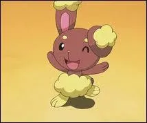 Quelles sont les couleurs d'un Laporeille shiney ?