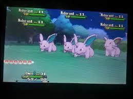 Que vois-tu sur cette image ?