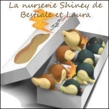 Combien y a-t-il de Héricendre shiney sur cette image ?