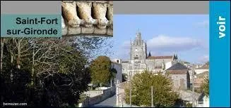 Saint-Fort-sur-Gironde est une commune picto-charentaise située dans le département ...
