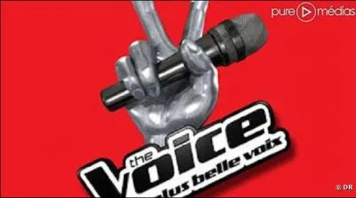 Sur quelle chaîne l'émission est-elle diffusée ?