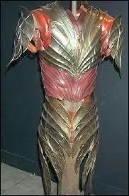 Le mithril est un minerai très rare. Quel peuple est LE SEUL à avoir des armures en mithril ?