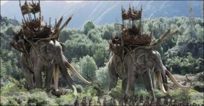 Quelle est la taille d'un mumak ? (approximativement)