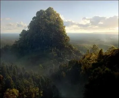 Comment s'appelle le "coeur du monde elfique sur terre, maison du seigneur Celeborn et de Galadrielle dame de Lorien"