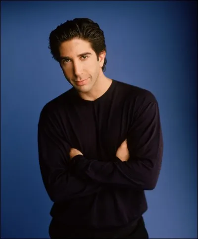 Combien d'épisodes de la série David Schwimmer a-t-il réalisé ?