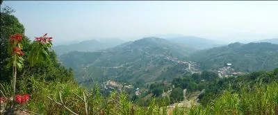 Parmi ces pays, lequel a fait la guerre aux côtés des forces de l'Axe ?