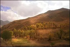 Quel pays a été envahi conjointement par le Royaume-Uni et par l'Union Soviétique en 1941 ?