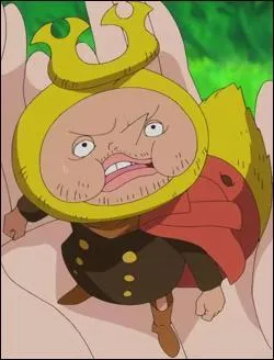 Quel fruit a mang&eacute; Kabu ?