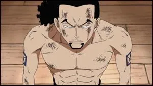 Quel fruit a mang&eacute; Rob Lucci ?