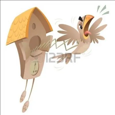 Qu'est-ce qu'un vieux coucou ?