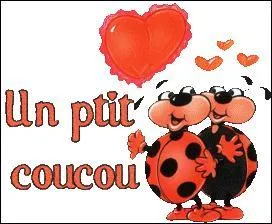 Vous l'avez deviné, ce quiz, dès mon retour, était destiné à :