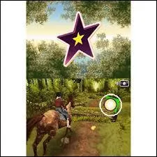 De quelles couleurs sont les pur-sang arabes ?