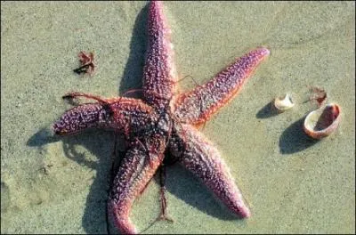 Ne flottez pas dans un océan d'incertitude, la réponse est facile !