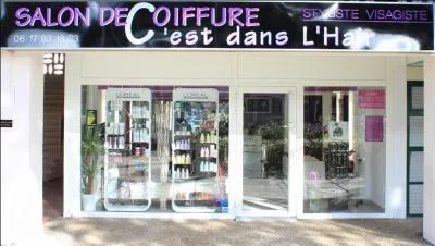 La photo peut vous sembler tirée par les cheveux, pourtant elle indique une princesse, vous devriez trouver facilement la réponse, ça ne fait pas un pli !