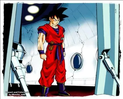 Combien de Senzus amène Sangoku quand il part sur Namek ?