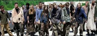 Comment sont nommés les zombies dans la série ?