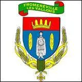 Ce blason appartient au village Meusien de Formeréville-les-Vallons. Il se situe en région ...