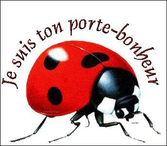 Quel personnage Disney vous paraît correspondre à l'image ?