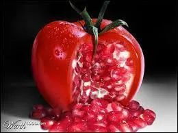 Que peut-on voir sur la photo ?