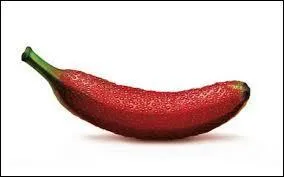 Que pouvez-vous voir sur l'image ?