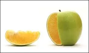 Quel nom pourriez-vous donner à cette image ?