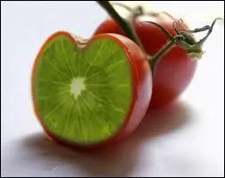 Quels ingrédients comporte cette chose ?