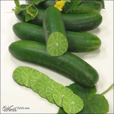 De quels aliments est composée cette chose ?