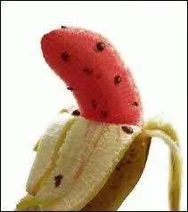 Quels fruits composent cet "aliment" ?