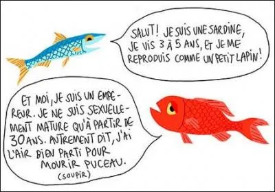Attachez-vous au sens dépouillé de tous les parasites et vous pourrez dire que -------- s'emploie à faire ressortir tous les aspects d'une situation.