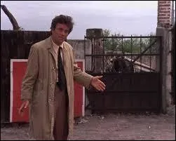 Dans quel &eacute;pisode Columbo enqu&ecirc;te-t-il au Mexique ?