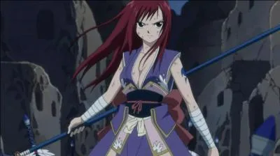 Comment s'appelle cette armure ?