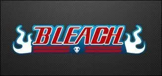 'Bleach' : pour terminer, le personnage dans cet anime proposé est...