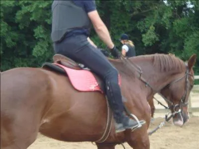 Comment s'appelle cette robe ?