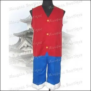 A qui cette tenue appartient-elle ?