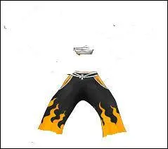 A qui cette tenue appartient-elle ?