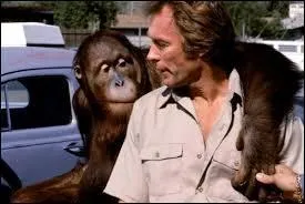 Comment se nomme cet orang-outan, inséparable compagnon de Clint Eastwood dans les films "Doux, dur et dingue" et "Ça va cogner" ?