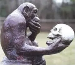 Selon les études et les découvertes réalisées dans ce domaine depuis des décennies, laquelle de ces propositions s'avère correcte ?