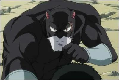 Qui Panther Lily, l'Exceed de Gajil, a-t-il recueilli, il y a quelques années ?