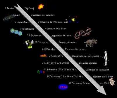 Et si nous parlions de la présence de l'homme dans l'histoire de l'univers.
On est le 01 janvier, il est 00h00, c'est le big-bang. Nous sommes le 31 décembre, il est 23h59. Les dinosaures ont disparu le 30 décembre. Cela fait combien de temps que l'homme a réalisé les peintures de la grotte de Lascaux ?