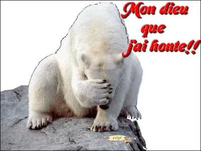 Admettons ! Je lui ai donc :