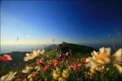 Le département de l'Ain n'est pas limitrophe de celui :