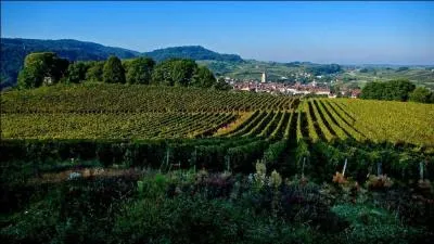 De ces quatre départements, lequel n'est pas limitrophe de celui du Jura ?