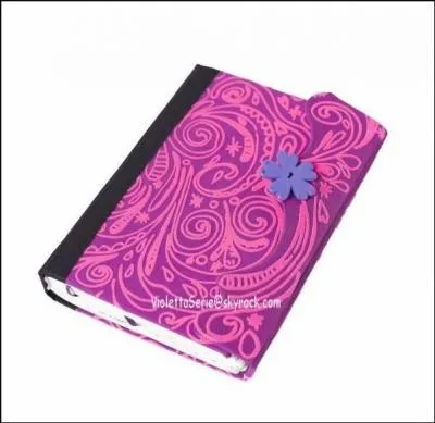 Violetta a-t-elle déjà montré son journal intime à quelqu'un ?